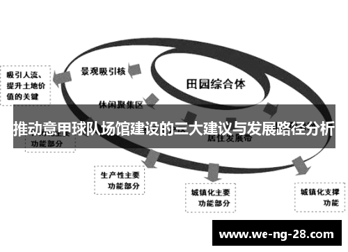 推动意甲球队场馆建设的三大建议与发展路径分析