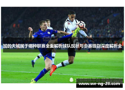 加的夫城属于哪种联赛全面解析球队现状与参赛级别深度解析全 加的夫城属于哪种联赛全面解析球队现状与参赛级别深度解析全