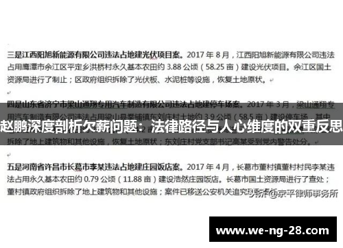 赵鹏深度剖析欠薪问题：法律路径与人心维度的双重反思